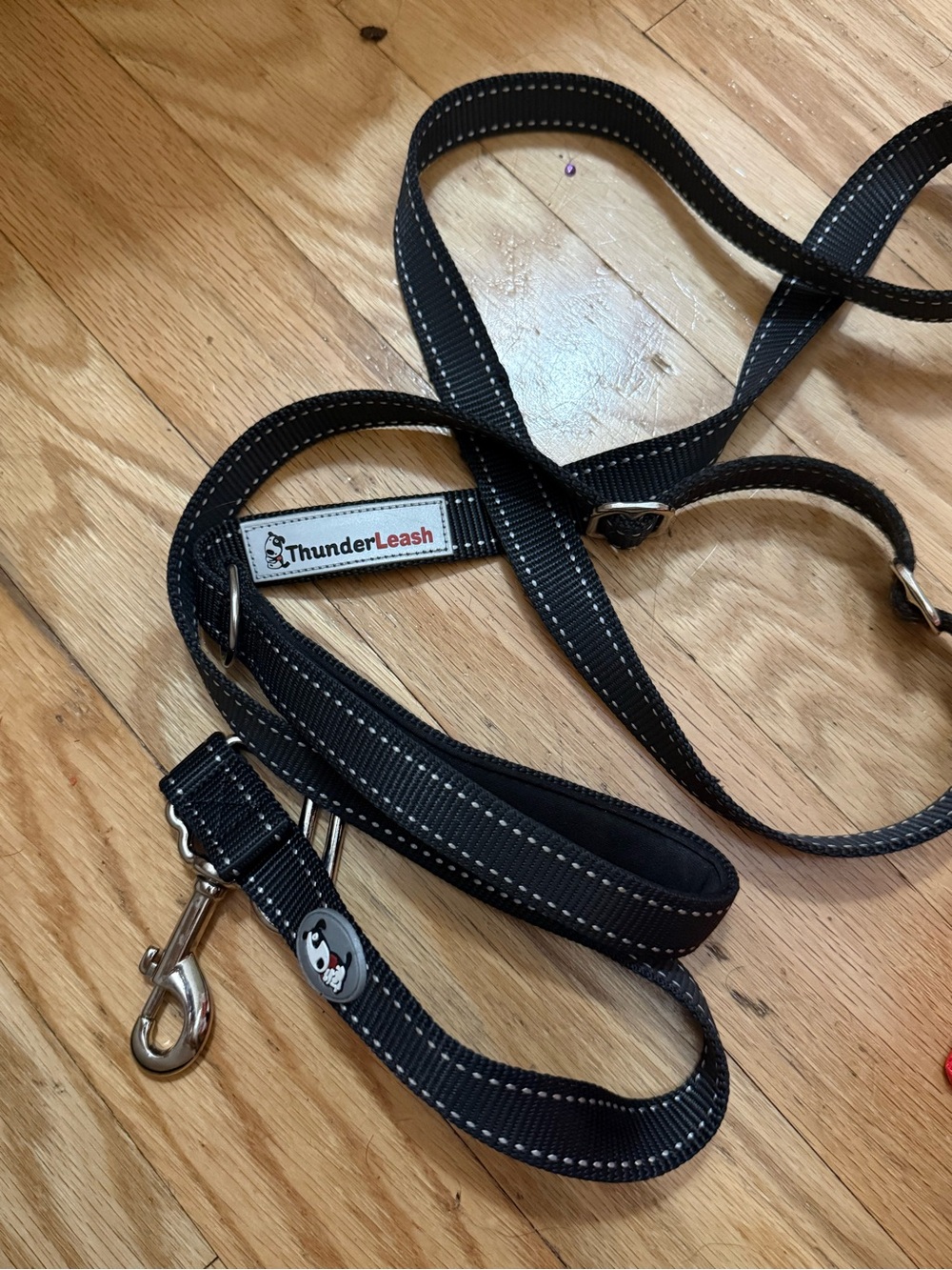 Thunder leash dog leash large